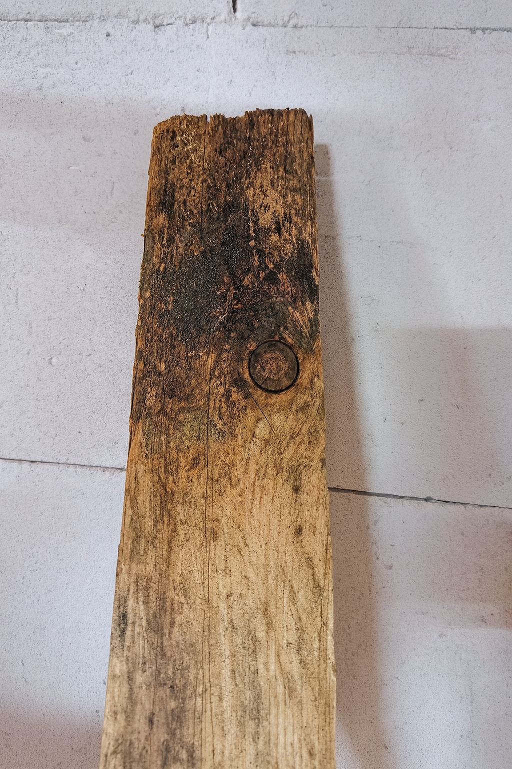 Chevron dégradé par la pourriture due à l'humidité