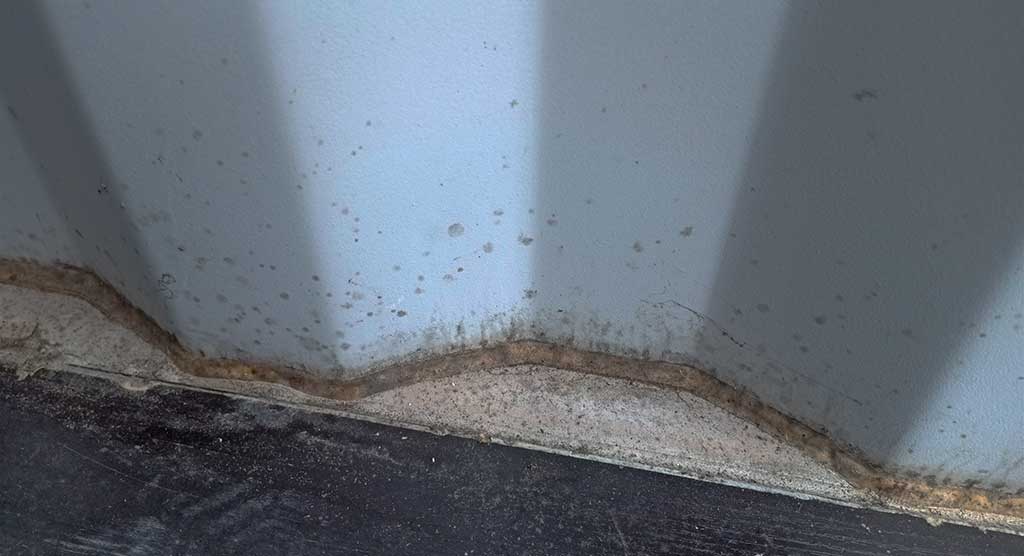 Moisissures dans un container