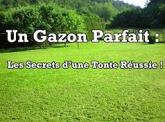  Les Secrets d’une Tonte Réussie